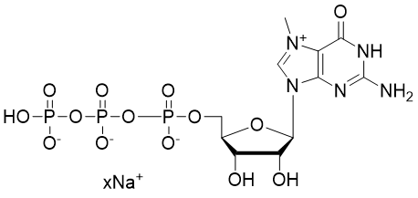 m7GTP, 100 mM Sodium Solution