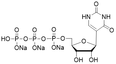Pseudo-UTP, 100 mM?Sodium?Solution