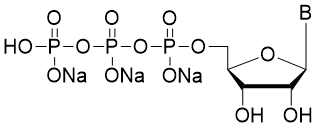 NTP?MIX 25 mM sodium solution each